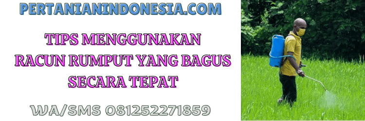 tips,penggunaan,aplikasi,petani,pertanian indonesia